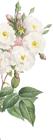 Floral Decoration