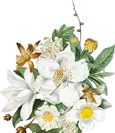 Floral Decoration