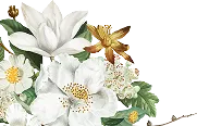 Floral Decoration