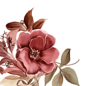 Floral Decoration