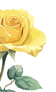 Floral Decoration
