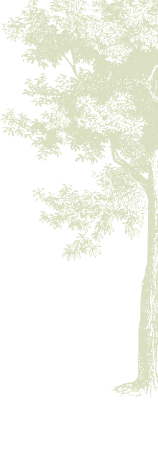 Right Tree